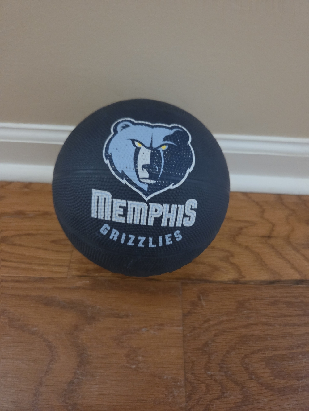 Memphis Grizzlies NBA Basketball Size 3
